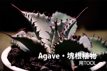 amenoma Agave 塊根植物 サボテン用ツール