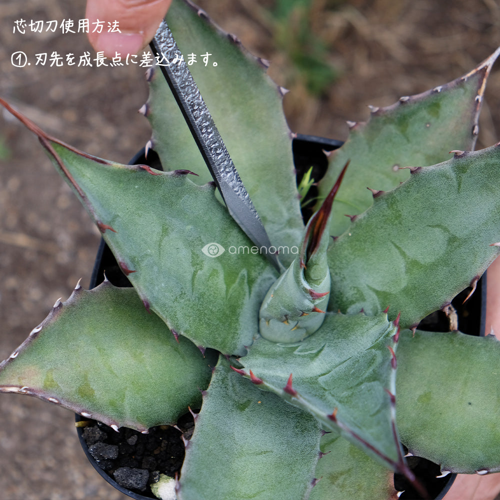 amenoma　芯切刀　使用方法