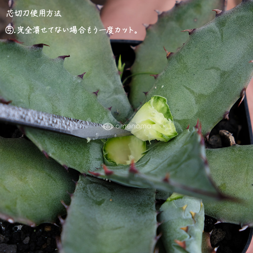 amenoma　芯切刀　使用方法