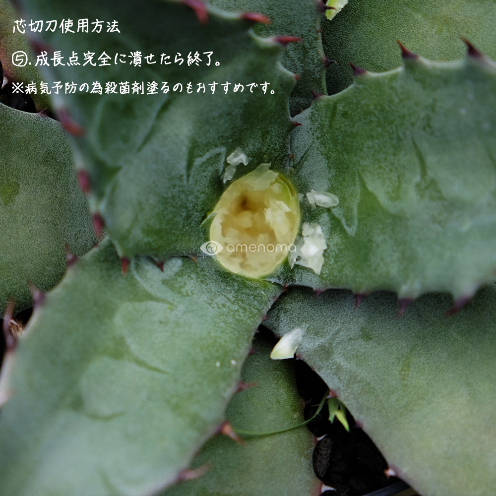 amenoma　芯切刀　使用方法